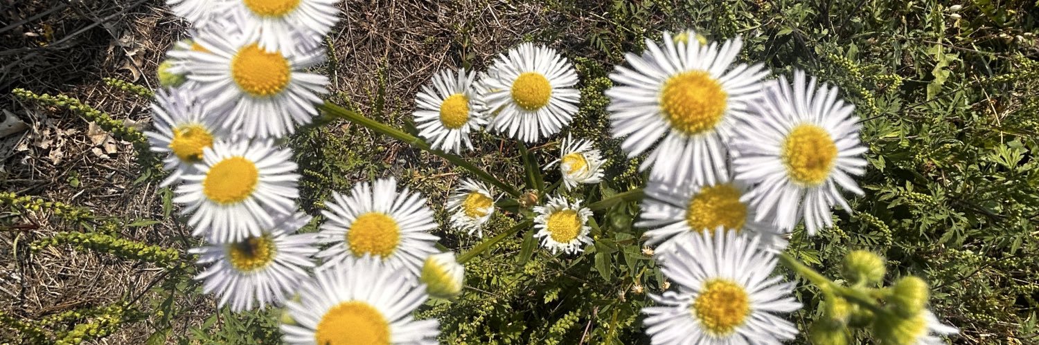 DID I MISTAKE YOU FOR A SIGN FROM GOD? banner