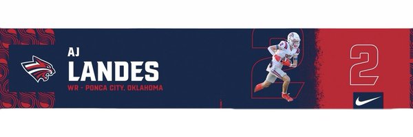 AjLandes Profile Banner