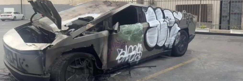 Fish 🏴🏴‍☠️🇵🇸 banner