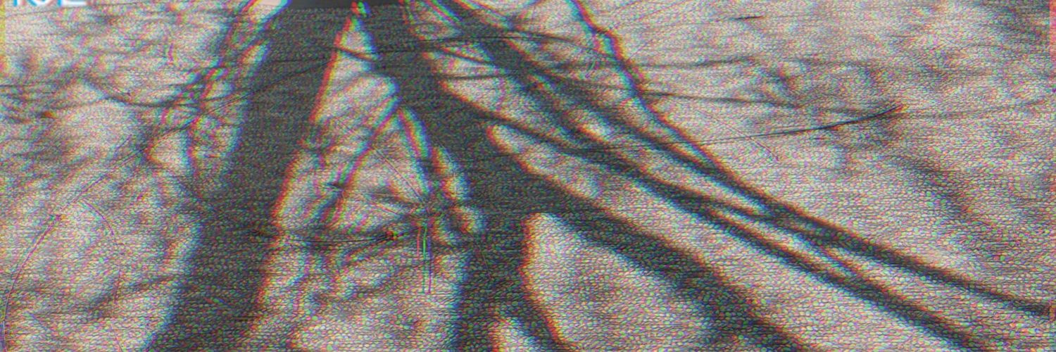hppysvmmer's profile banner image