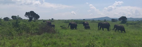 KremserRoswitha Profile Banner