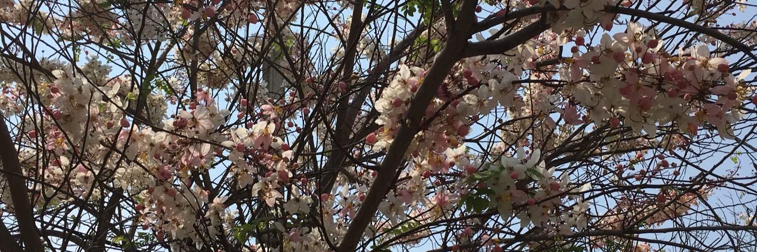 thanari702's profile banner image