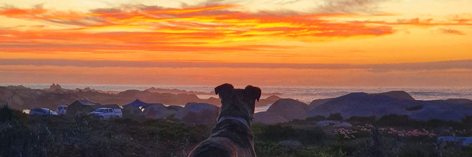 dey_roo's profile banner image