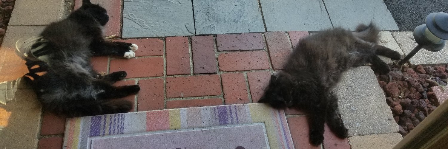 No Work 4 the Summer banner