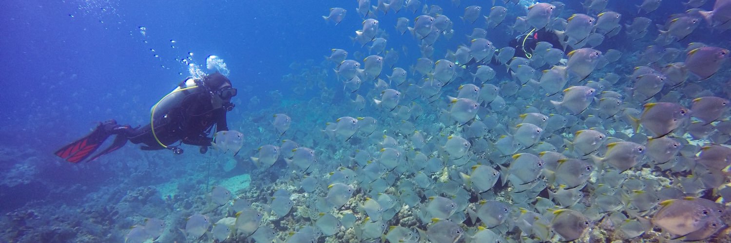 BaliFunDiving's profile banner image