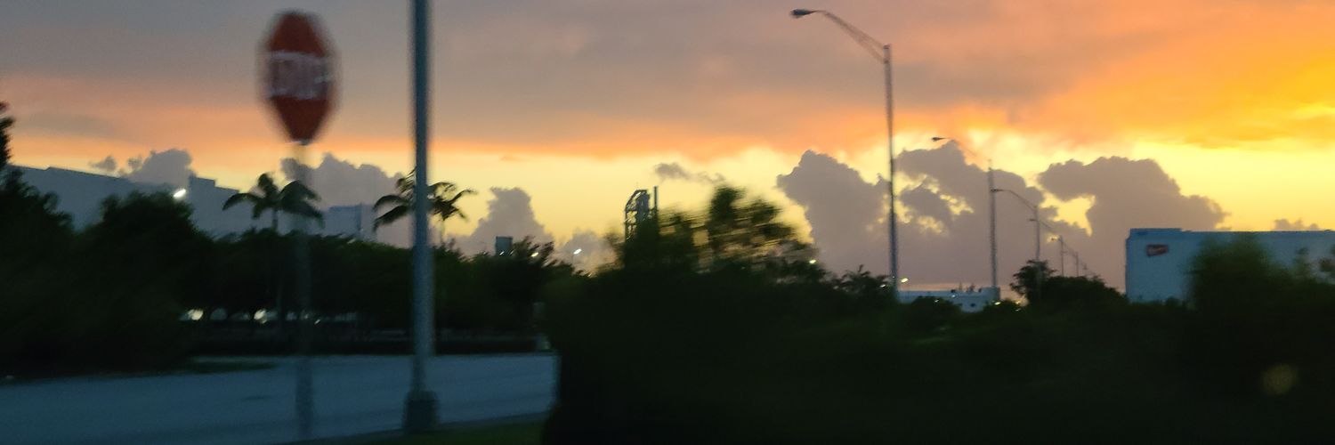 monifernandals's profile banner image
