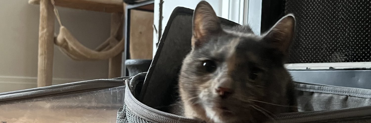 Wobbly Ruth, et al. banner