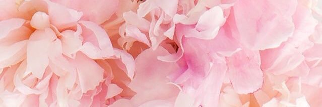marceayaIa's profile banner image