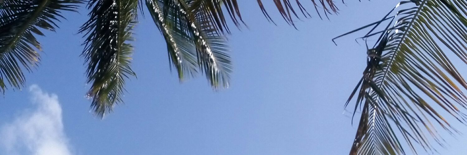 roseSuarz's profile banner image