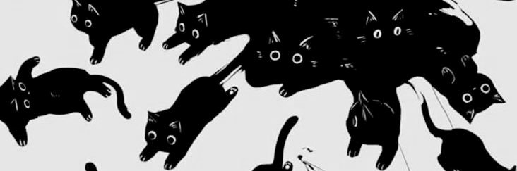 kay banner