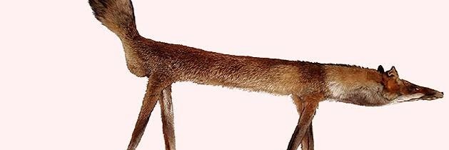 morbiusisgreat's profile banner image