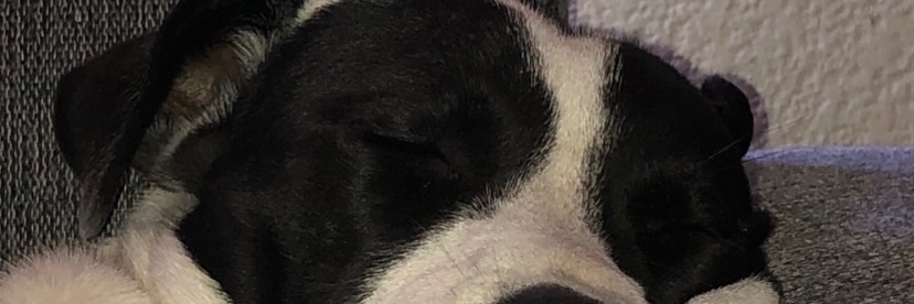 emmanegrete's profile banner image