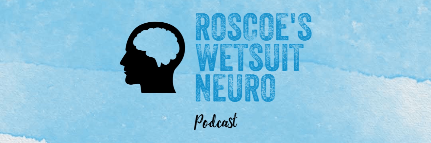 WetsuitPodcast's profile banner image
