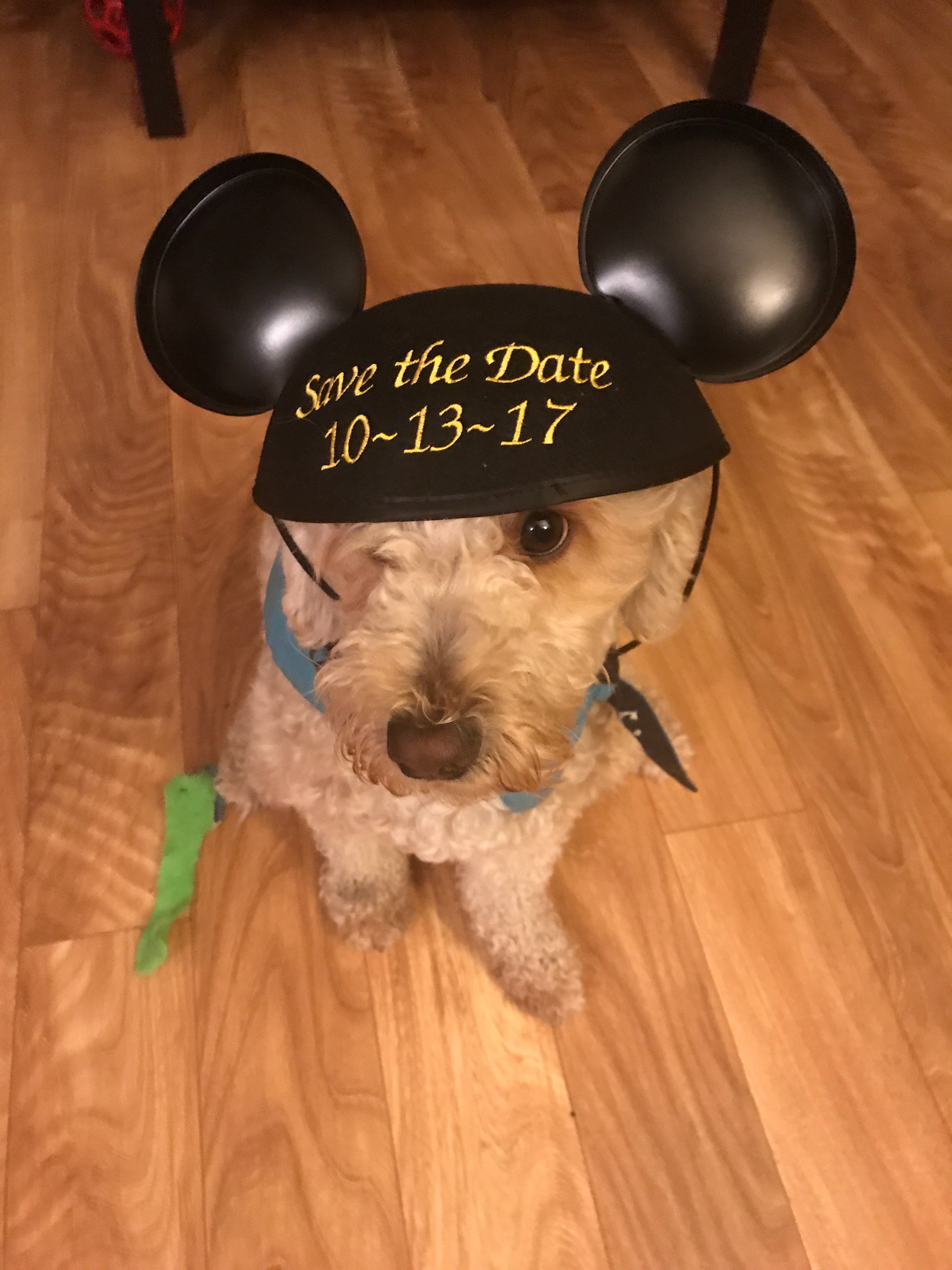 Meggie60days's profile banner image