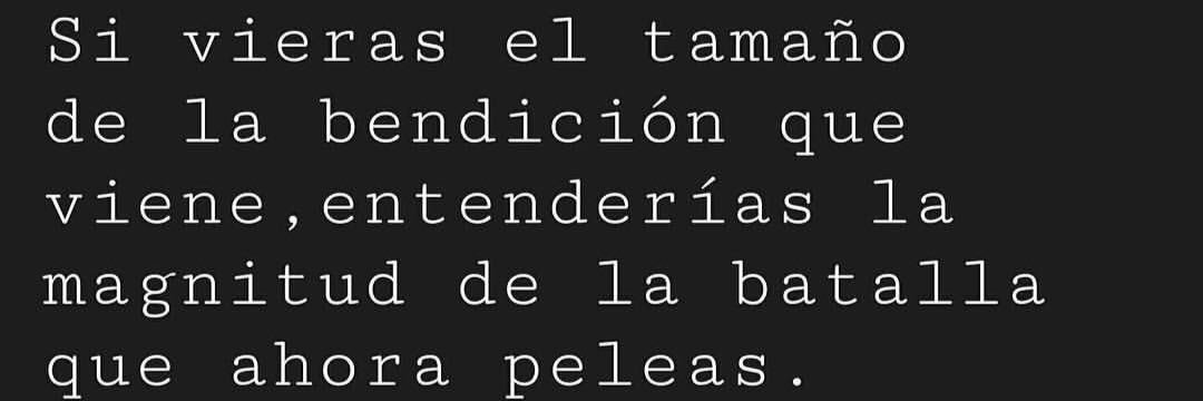 Nat Bustamante banner