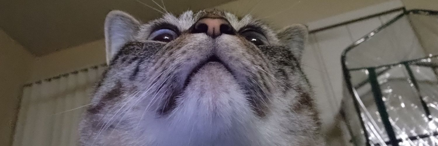 EyebrowCastle's profile banner image