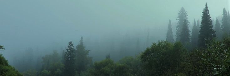 its_Sog's profile banner image