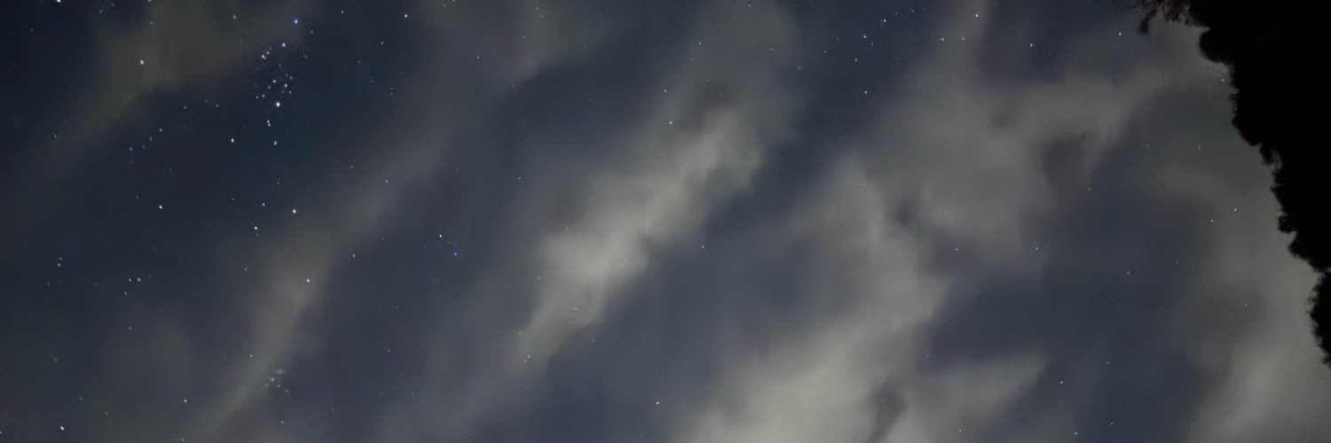 Nalasatya banner