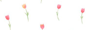 nt626's profile banner image