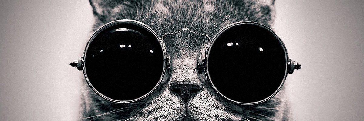 monicnaks's profile banner image