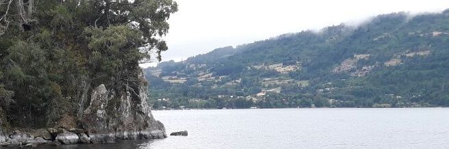 coriana's profile banner image