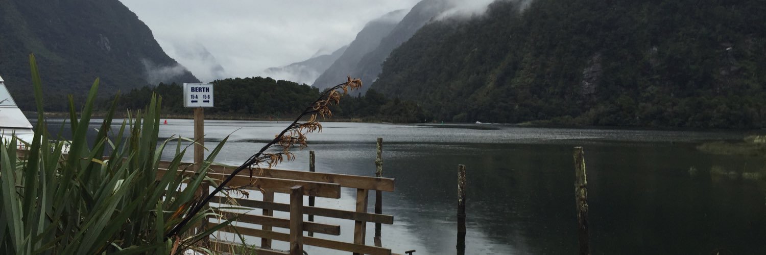 gglweaver's profile banner image
