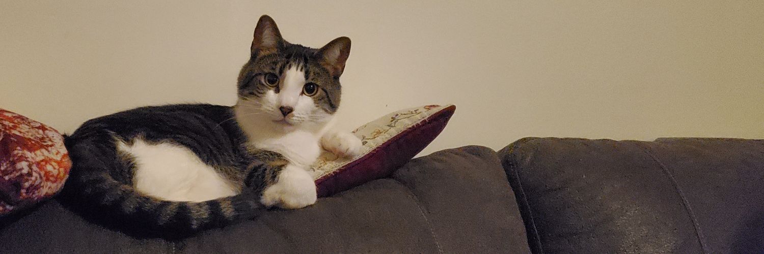 💀Walking Momento Mori ☕️ banner