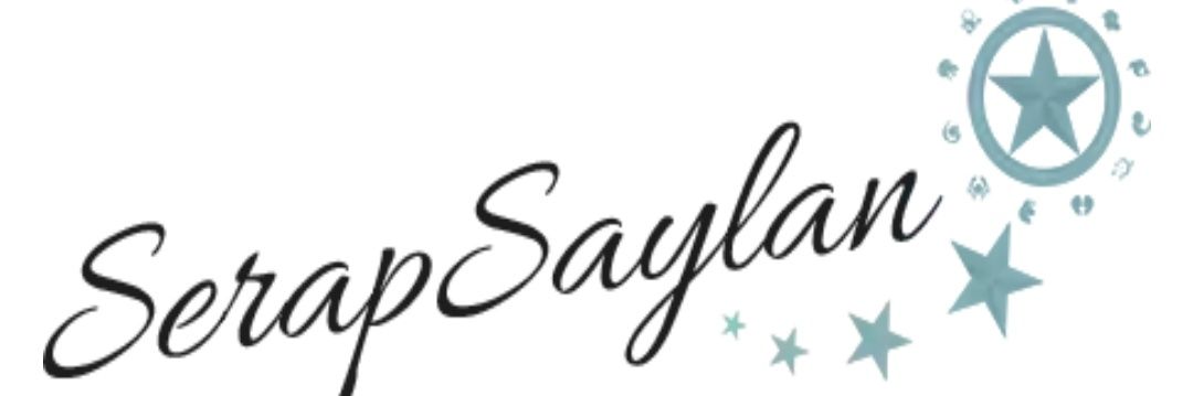 serap_saylan's profile banner image