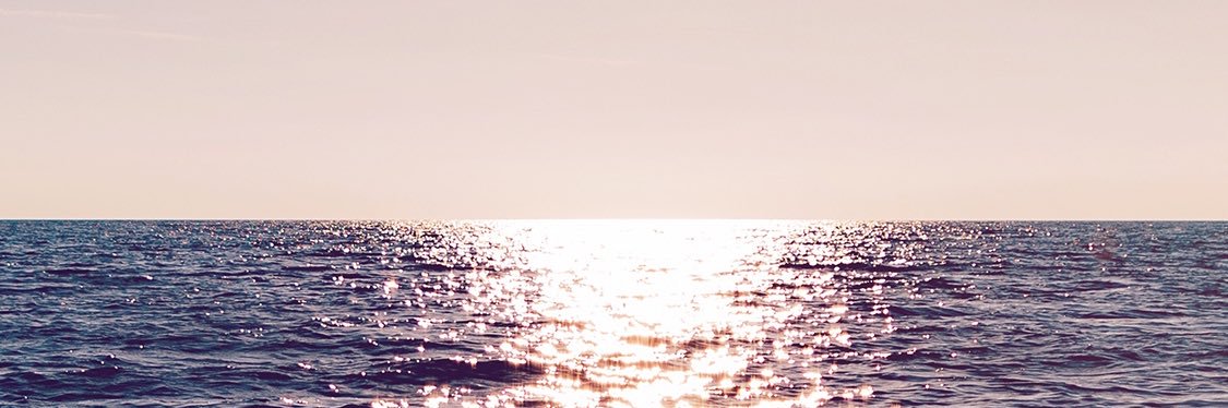 aleefdomingues's profile banner image