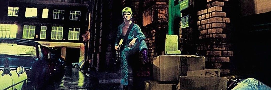 Ziggy banner