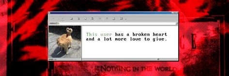 arsonist 𓆩♡𓆪's banner