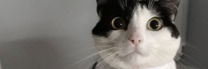 eshisnotokay's profile banner image