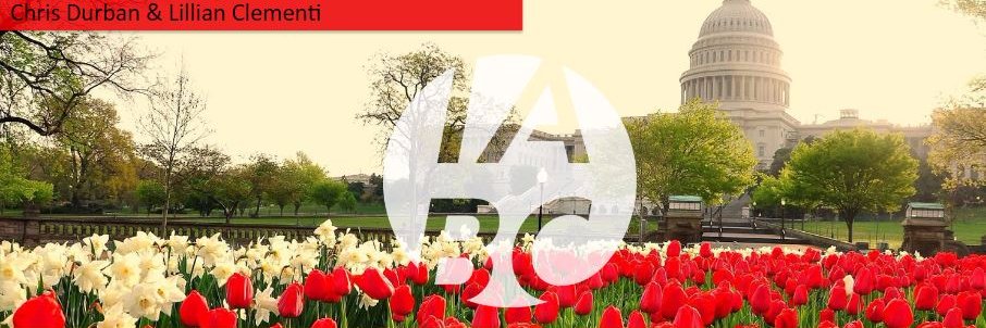 L_C_Translator's profile banner image