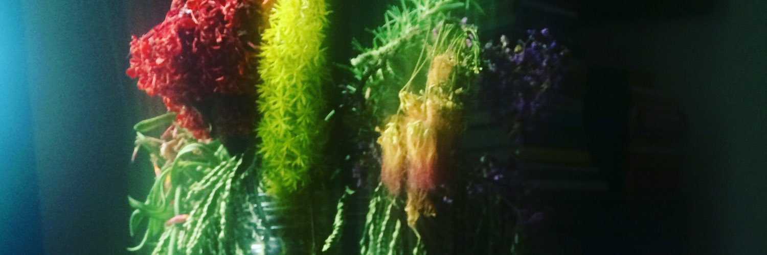 atastefortee's profile banner image