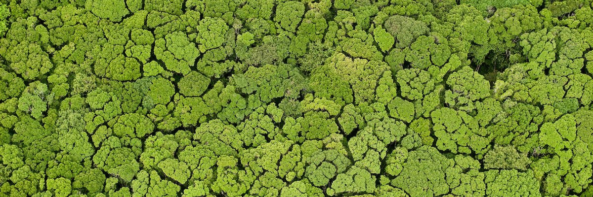 Graham Watkins | Watkins Advisory banner