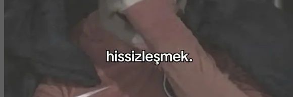 Nebilimee banner