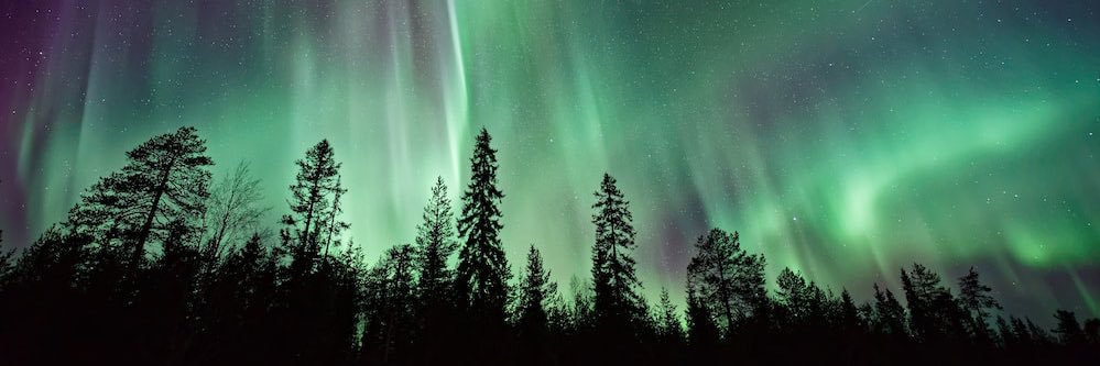 The Count of Chett banner