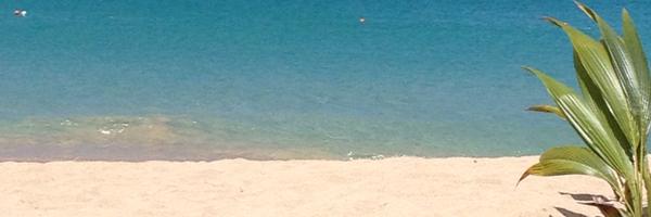 Morgmar Profile Banner