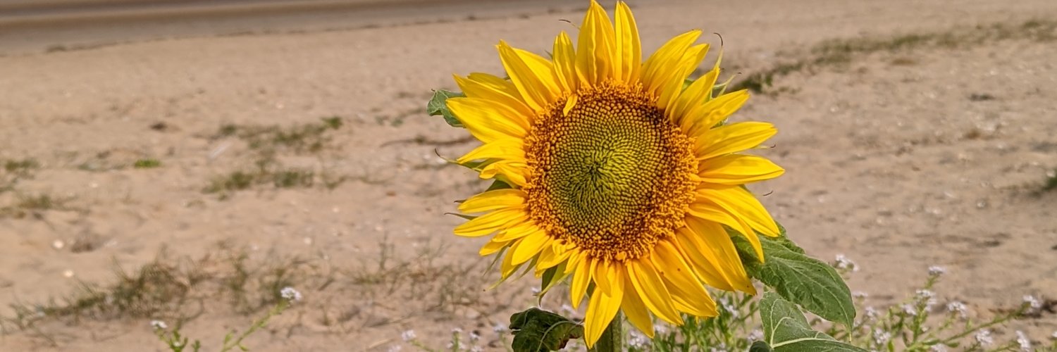 arseinchair's profile banner image