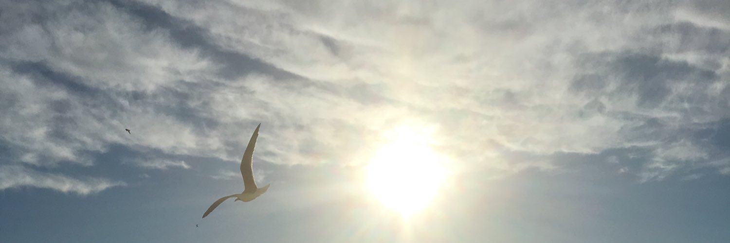 Starla Beachy banner