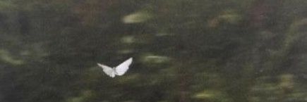 lastquarter001's profile banner image