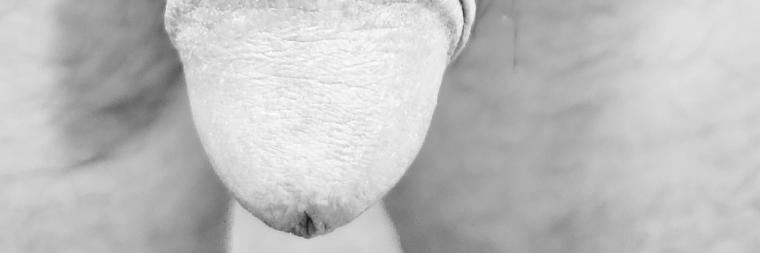 o7M4RaTtlUidifr's profile banner image