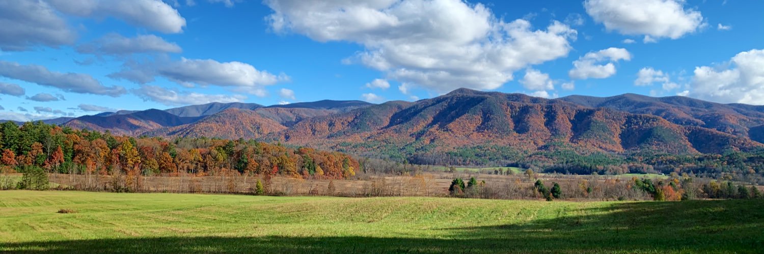 Tomarra Shedden banner