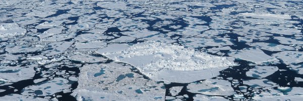 LAlbedyll Profile Banner