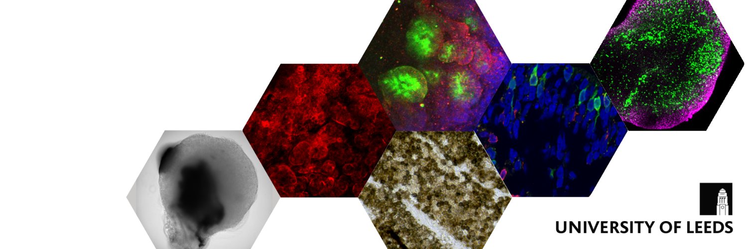 Leeds Centre for Disease Models banner