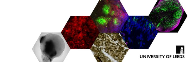 DIMOLeeds Profile Banner