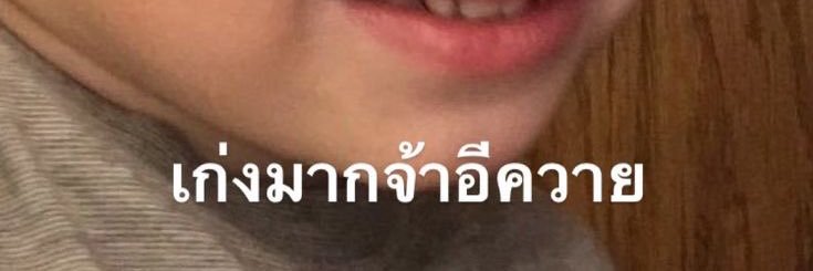 หมูแพนด้า banner