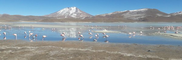 solanggoncalves Profile Banner