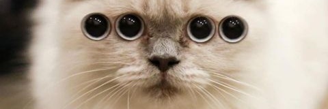 ArdyJanua's profile banner image