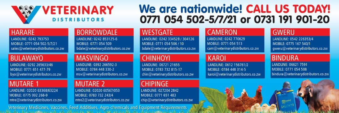 VeterinaryDist4's profile banner image